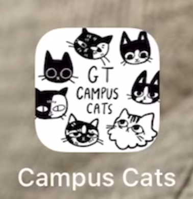 Campus Cats app icon
