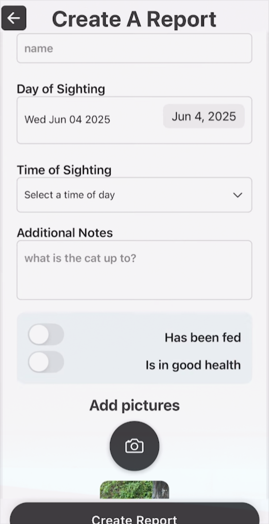 Report details and photo upload